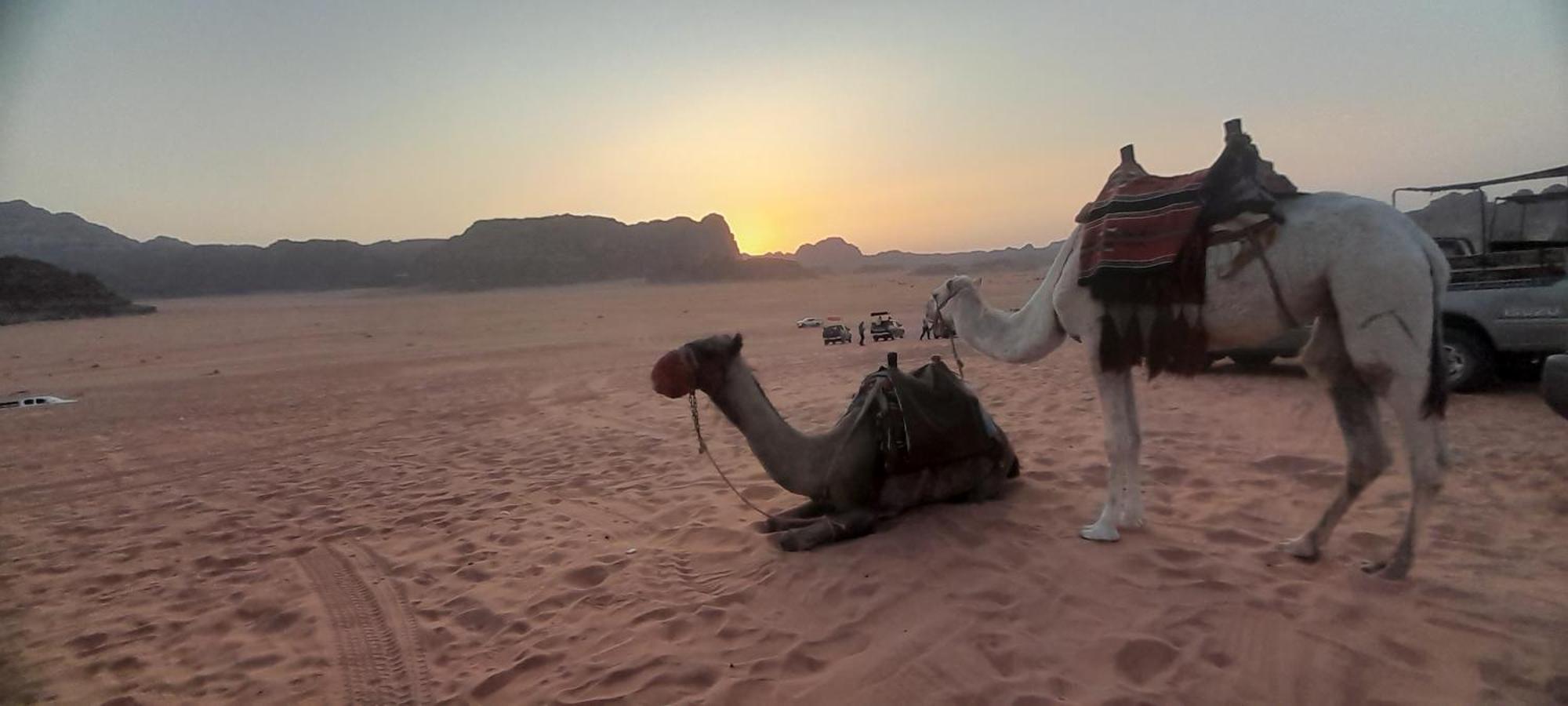 וואדי רם Desert Star Camp מראה חיצוני תמונה